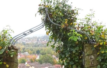 Weibertreu am Wein- & Rosenrundweg